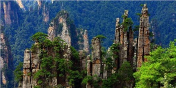 玻璃橋、天子山、猛洞河、 天門山、鳳凰古城 純玩4晚5日游F5