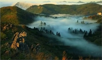 益陽(yáng)安化?天下茶道、云臺(tái)山、茶香花海2日游