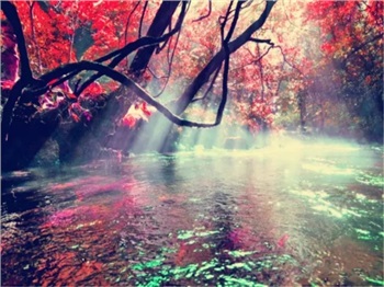 貴州-黃果樹(shù)瀑布、荔波大小七孔、西江千戶苗寨5日游