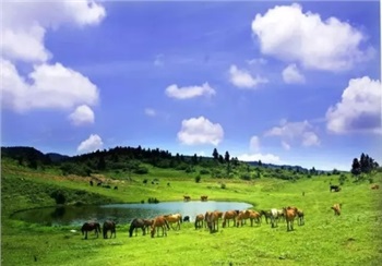 重慶?武隆（天坑?地縫?九黎城）雙臥5日