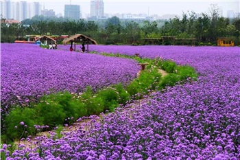 長(zhǎng)沙?華誼兄弟電影小鎮(zhèn)、李自健美術(shù)館一日游