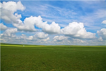 (人氣草原、5A響沙灣、歡樂牧場(chǎng)、內(nèi)蒙古博物院、夢(mèng)幻水世界)雙飛5日親子游