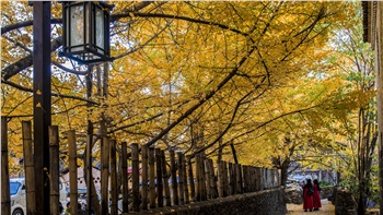 長(zhǎng)沙直飛騰沖、瑞麗、芒市雙飛六日游