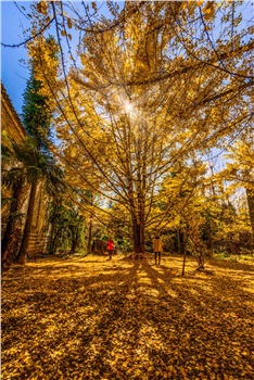長(zhǎng)沙直飛騰沖、瑞麗、芒市雙飛六日游