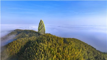 益陽(yáng)清溪村、桃花江竹海一日游